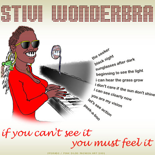 Stivi Wonderbra - if you can't see it you must feel it - cover